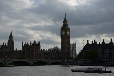 DSC_2807 (Large).JPG